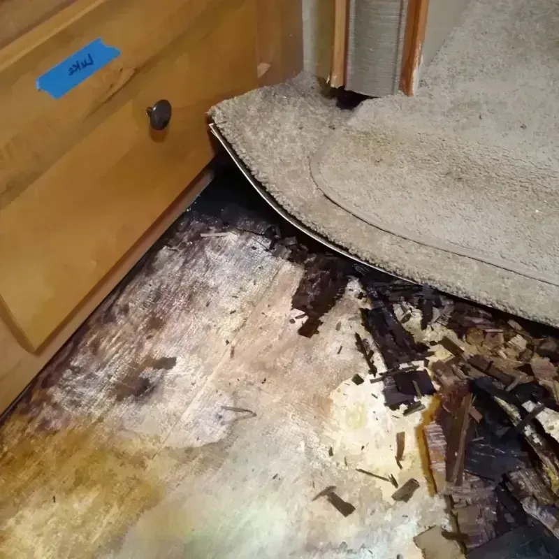 Wood Floor Water Damage in Belleview, FL